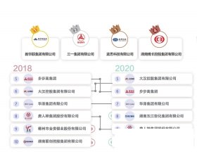 _2020湖南企业100强发布新华联等4家企业跻身千亿俱乐部